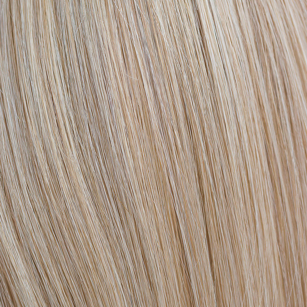 Golden Wheat